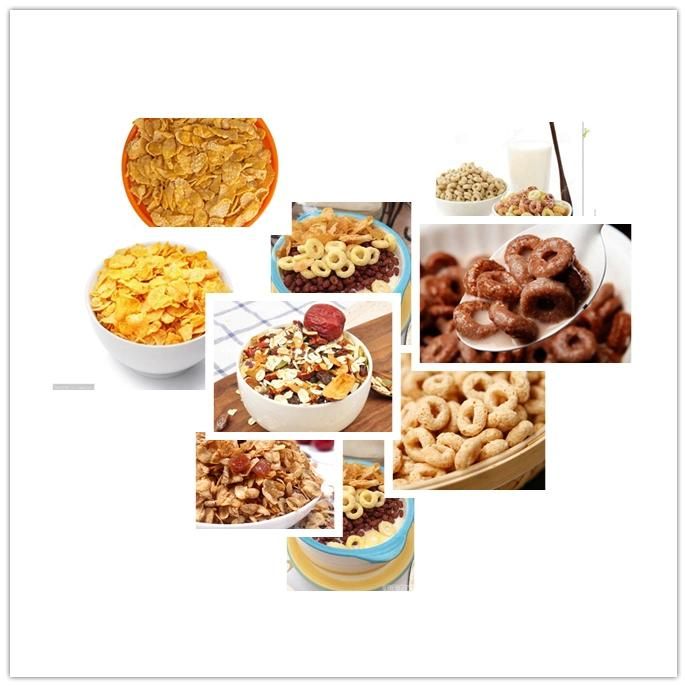 Hot Selling Breakfast Cereal Production Line From China