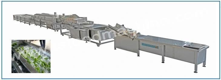 Factory Supply Leafy Vegetable Washer and Cutter Processing Machine