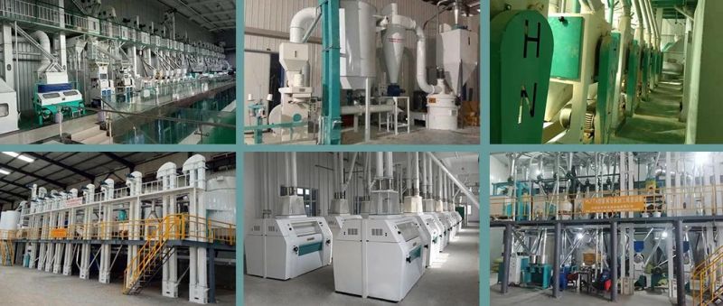 Automatic Corn Mill Maize Flour Milling Machine Roller Mill Maize Grits Milling Machine Cost