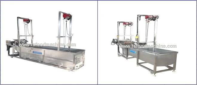 Industrial Fruit and Commerical Vegetable Washing Machine