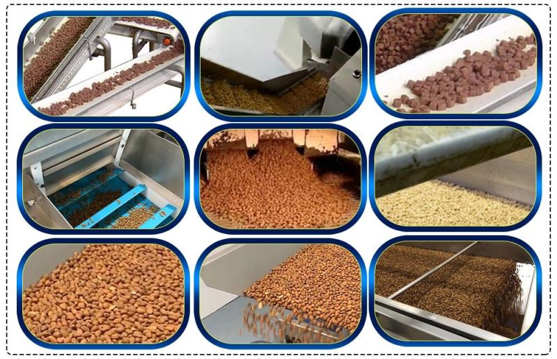 Automatic Floating Fish Feed Pellet Machine for Pet Food