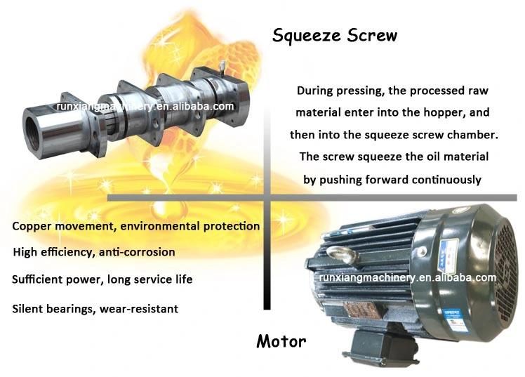 Semi Automatic Screw Oil Press Oil Mill Machine (AW6Y)