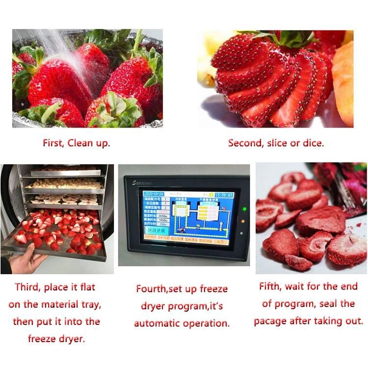 New Arrival Dehydrator Household Vacuum Freeze Dryer Machine Multifunctional Lyophilizer for Vegetables Fruit Meat and Pet Food