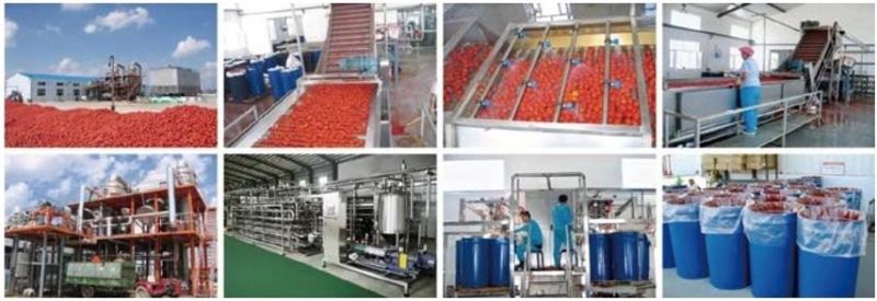 2022 Hot-Sell High Quality Tomato Paste Making Machine Tomato Paste Production Line