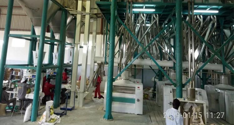 Maize Meal Machine 200t 150t 100t 50t in Africa