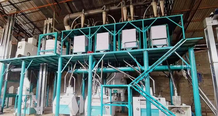 Complete Set Maize Flour Mill Milling Plant Running in Zimbabwe