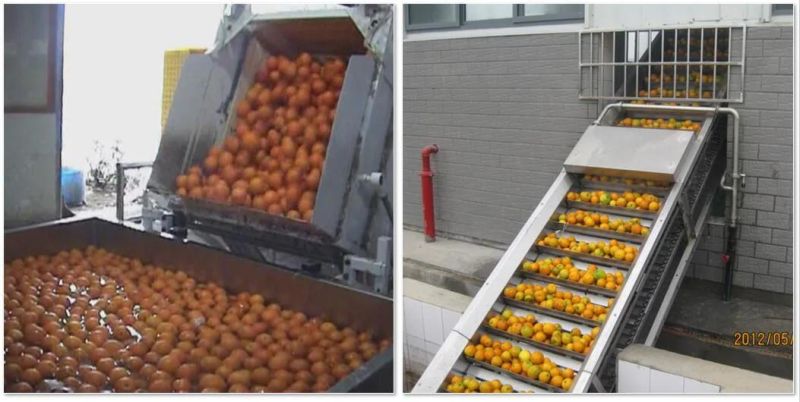 Orange NFC Juice Production Line/Apple Juice Processing Plant/Mango Juice Making Equipment/ Lemon Juice Processing Line