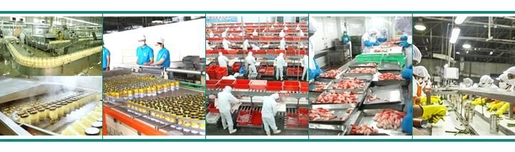 Pea and Kidney Beans Can Blanching Cooking Processing Machine