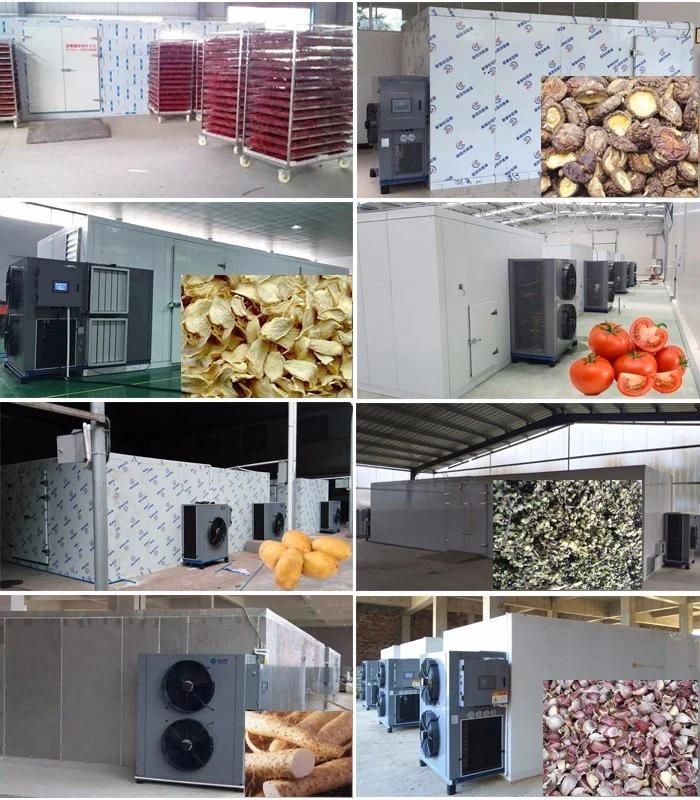 Hot Air Circulating Dehumidify Vegetable Drier