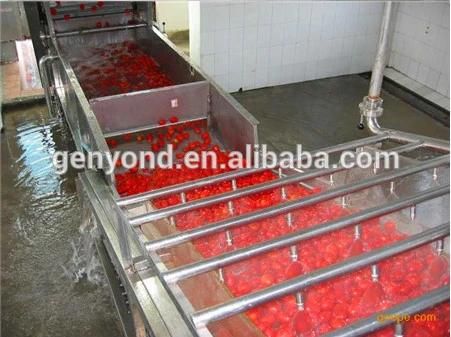 Tomato Paste Making Machine in China