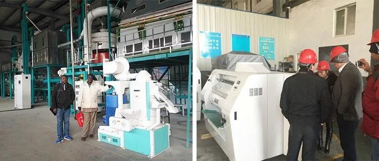 Zimbabwe Running 100t Per Day Maize Flour Mill Machine