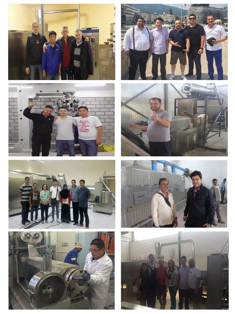 Soya Chunks Extruder Machines Texture Soy Protein Production Line Plant