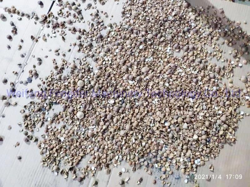 Small Walnut Almond Palm Kernel Cracking Sheller Shelling Machine From Factory