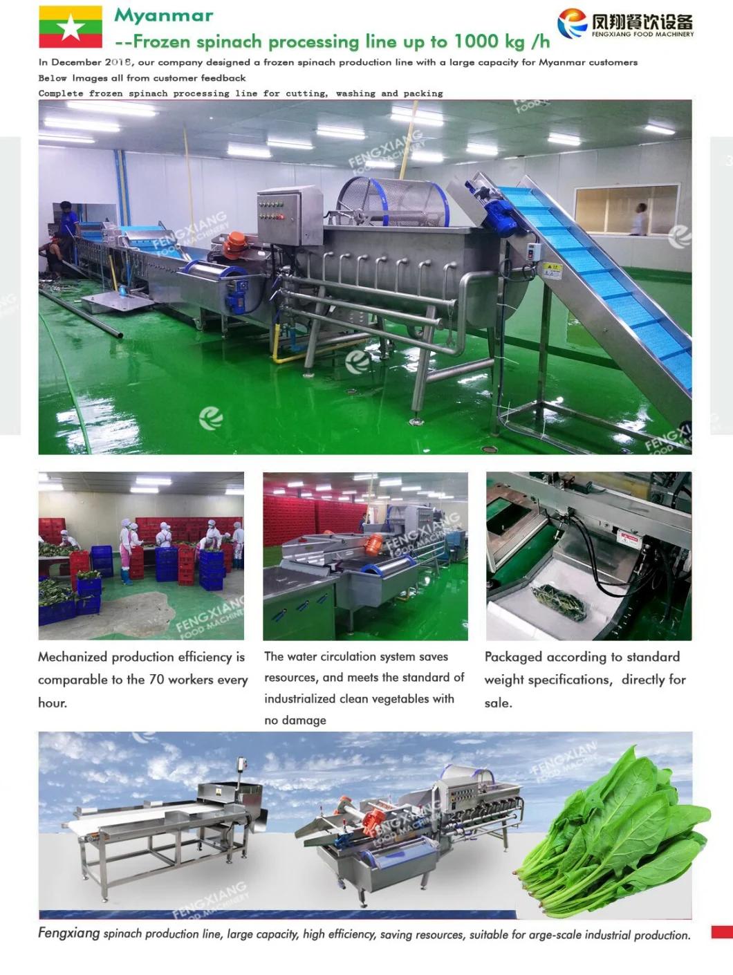 Plantain Chip Blancher, Fruit Spinach Bamboo Blanching Machine