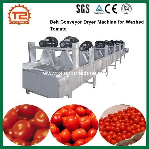 After Washing Tomato Air Drying Equipment/Belt Conveyor Dryer Machine for Washed Tomato