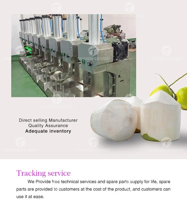 Pemprosesan Minuman Baru Pengilang Automatik Mesin Pengupas Electric Young Coconut Peeling Machine Electric Green Kelapa Peeler Food Processor (TS-P25)