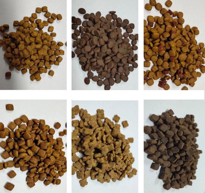 Animal Aquarium Pet Dog Cat Monkey Fox Bird Tilapia Floating Fish Feed Pellet Production Machine Automatic Dry Pet Food Production Line