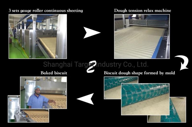 Automatic Hard Biscuit Production Line with Best Price