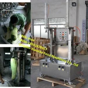 Automatic Papaya Watermelon Pumpkin Grapefruit Dasheen Peeling Machine