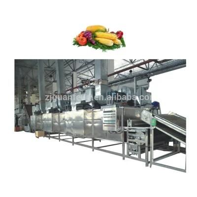 Automatic Dryer Garlic Steam Drying Equipment for Onion