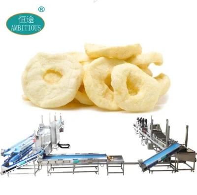 Freeze-Dried Apple Slices Fruit Vegetable Processing Production Line