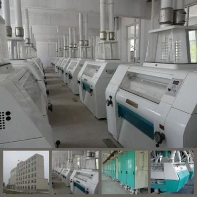 300t/24h Wheat Flour Mill with New Design