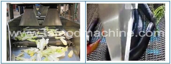 Apricot Drying Machine and Ginger Dryer Machine with Conveyor Belt