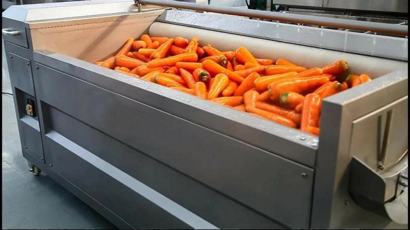 Brush Washing Machine Vegetable Potato Carrot Peeling Stripper Machine