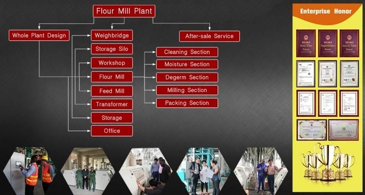 120t Per 24h Automatic Wheat Flour Milling Plant