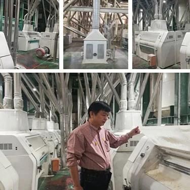 Maize Meal Machine 200t 150t 100t 50t in Africa