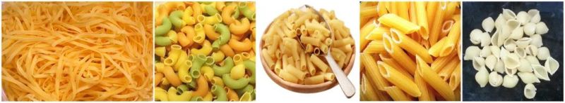 Easy Operation Pasta Extruder Machine Automatic Noodle Pasta Processing Machinery