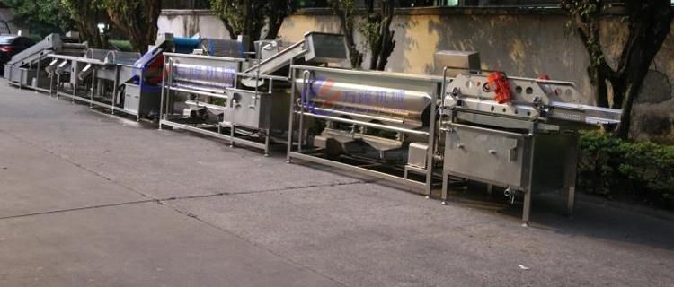 Automatic Leafy Vegetable Fruit Trimming Cutting Washing Drying Production Line