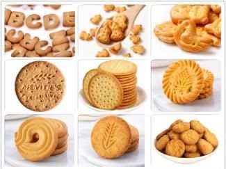 Hard Biscuit Production Line/Commercial Biscuit Making Machine for Making Bear Biscuit