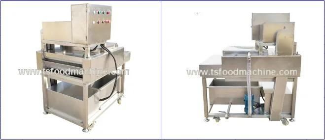 Glutinous Rice Dumpling Leaves Washing Machine Glutinous Rice Dumpling Leaves Washer Leaves Processing Machine