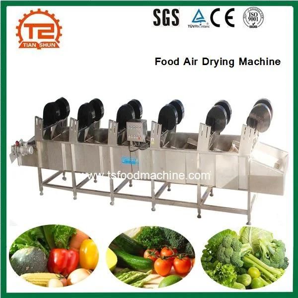 Automatic Food Conveyor Drying Equipment Air Dryer Machine
