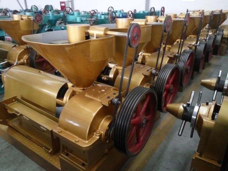 Oil Production Machinery Press Sunflower Cotton Seed Oil 10tons Per Day