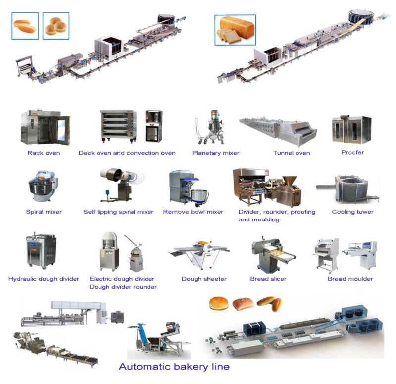 Bake Hot Selling Croissant Pastry and Steamed Stuffed Bun Production Line