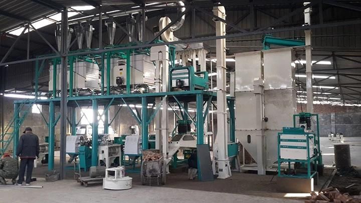 Complete Maize Corn Flour Mill Milling Plant of Europe Standard