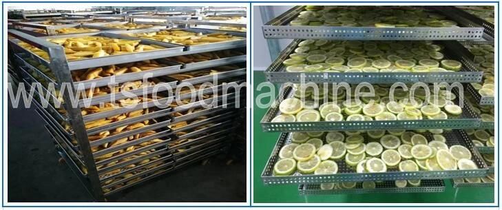 Continuous Black Pepper Dehydration Machine Black Pepper Dehydrator