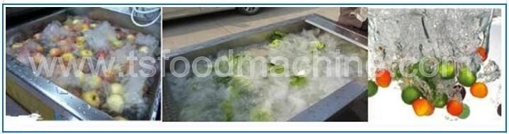 Fruit Vegetable Wash Machine and Washing Machine with Ozone Generator