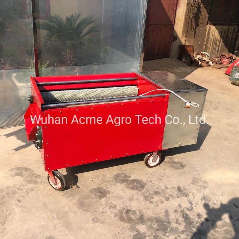 Electric Green Skin Peeler Green Walnut Peeling Washing Machine for Sale Walnut Skin Peeler Machine