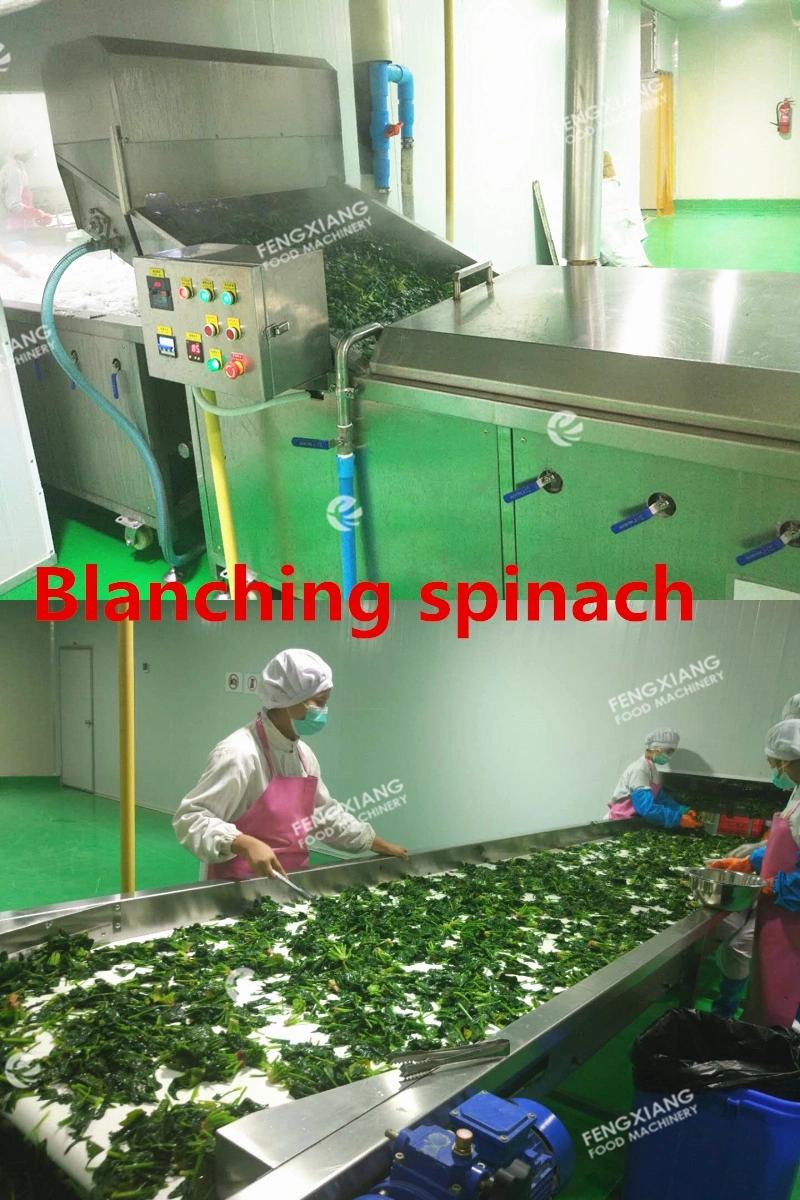 Plantain Chip Blancher, Fruit Spinach Bamboo Blanching Machine