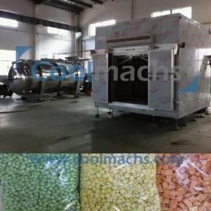 Meat Freeze Drying Equipment/Vacuum Freeze Dryer