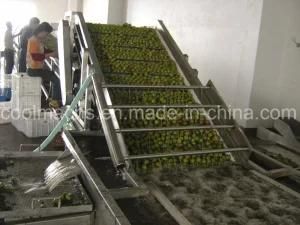 Bubble Washing Machine for Fruits