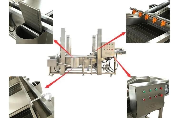 Air Bubble Cleaning Equipment with Conveyor Automatic Strawberry Washing Machine