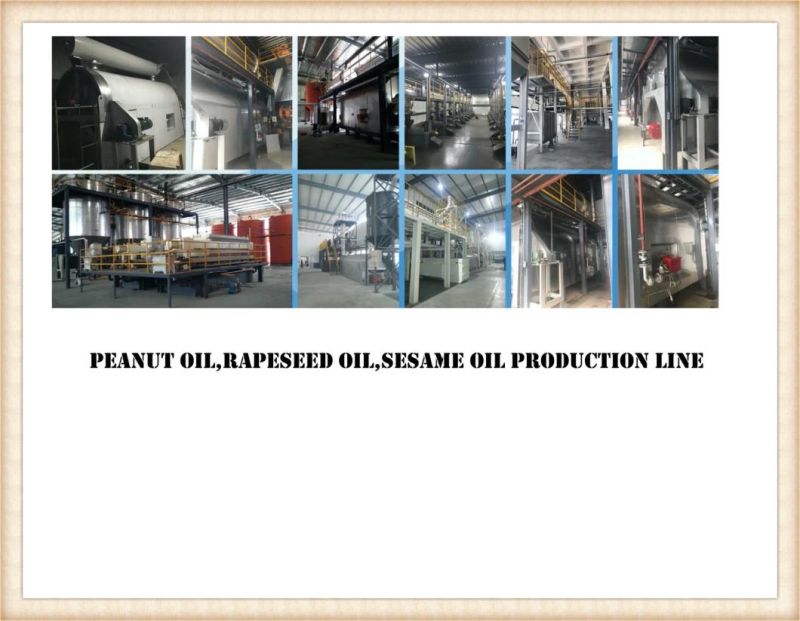 Oil Press Machine/Production Line