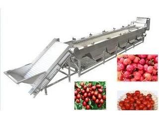 Red Kidney Bean Sorting Machine Dates Sorter and Cleaning Manufacturing