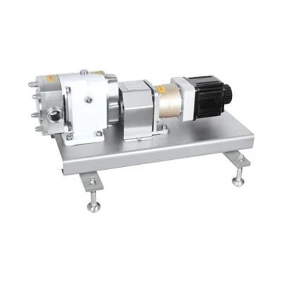 3A Positive Displacement Servo Motor Rotor Pump