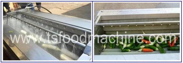 Maize Corn Washing Machine and Radish Washer Machine