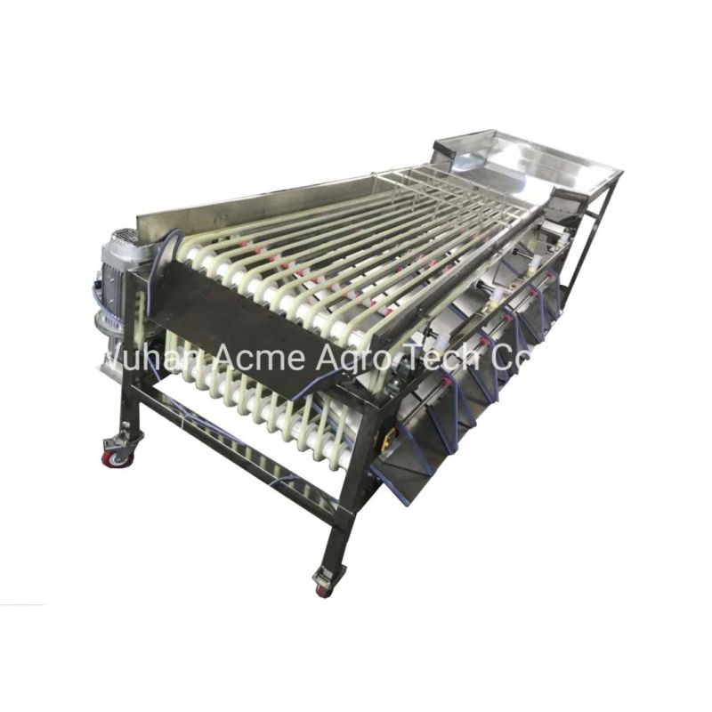 Fruit Grading Machine Jujube Cherry Walnut Miniature Potato